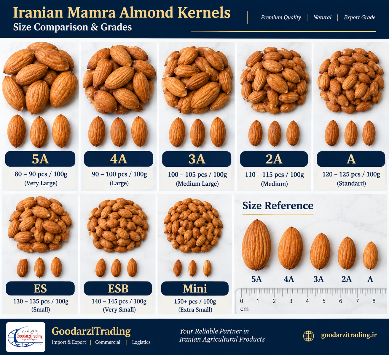 Iranian Mamra Almonds — مغز بادام مامایی