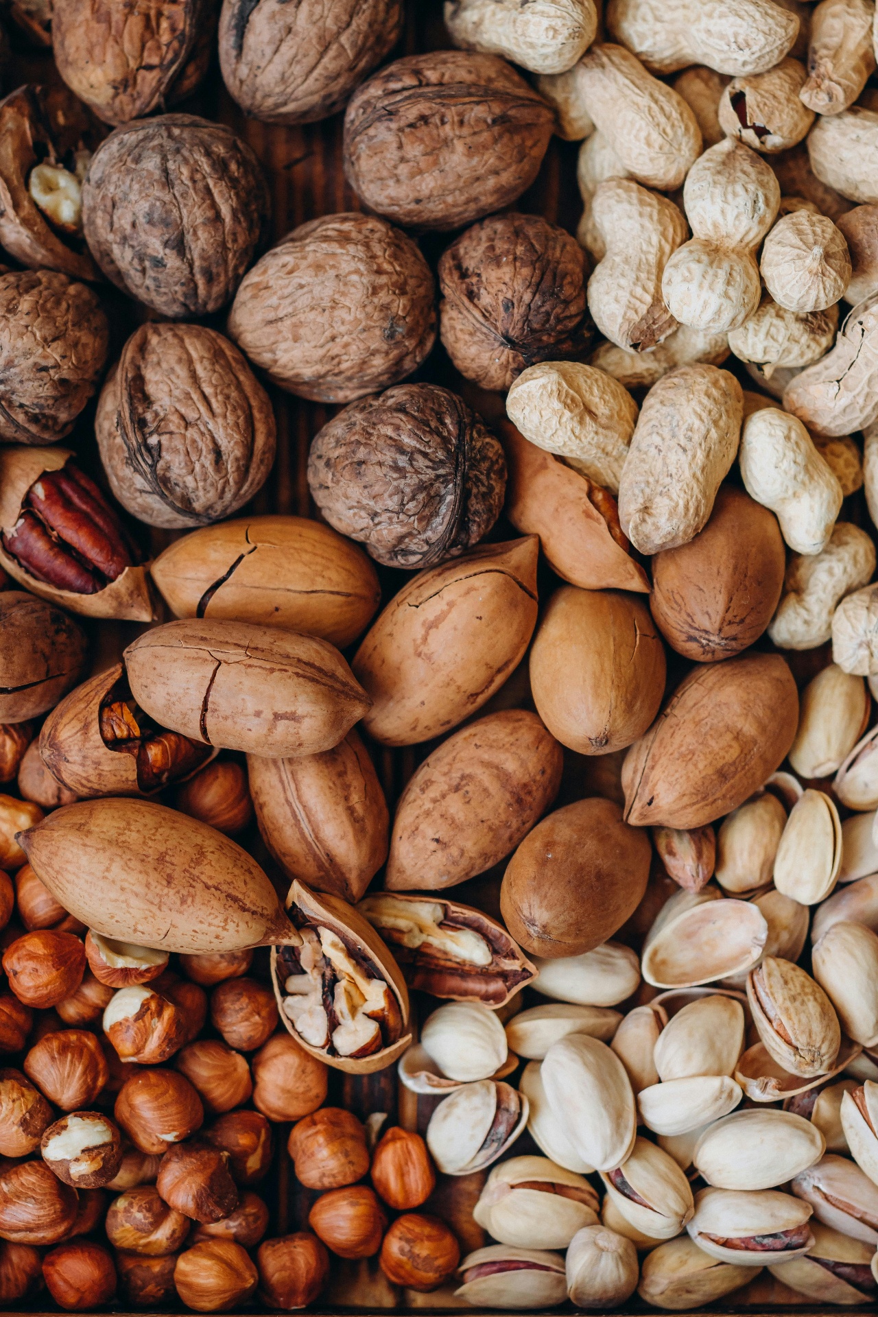 Iranian Dried Fruits & Nuts for export from Iran